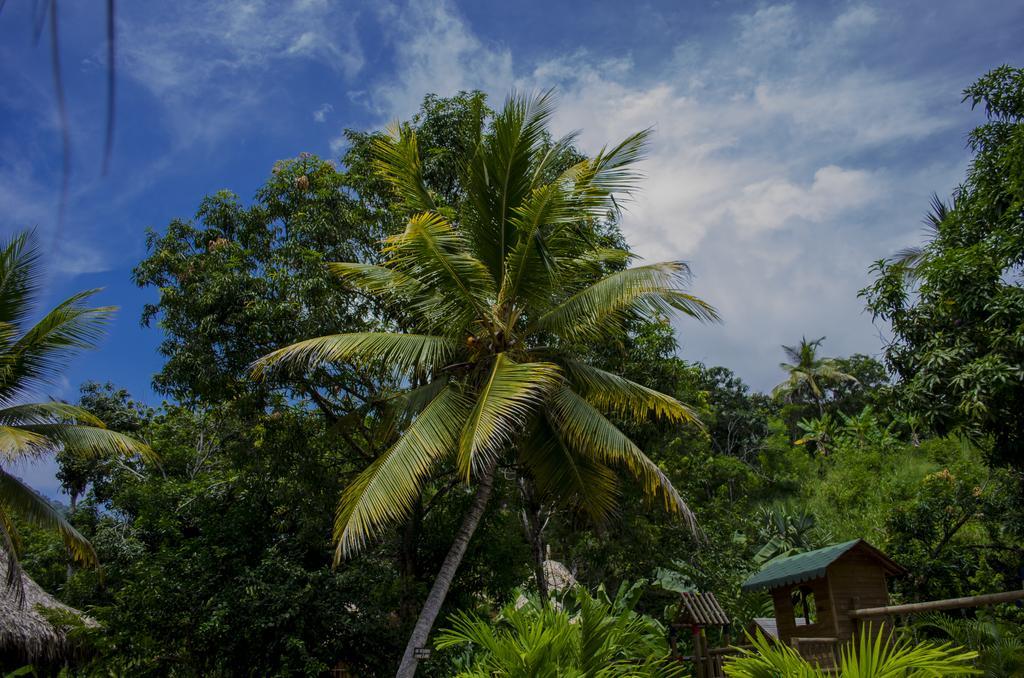 Tayrona Paradise Villa El Zaino Esterno foto